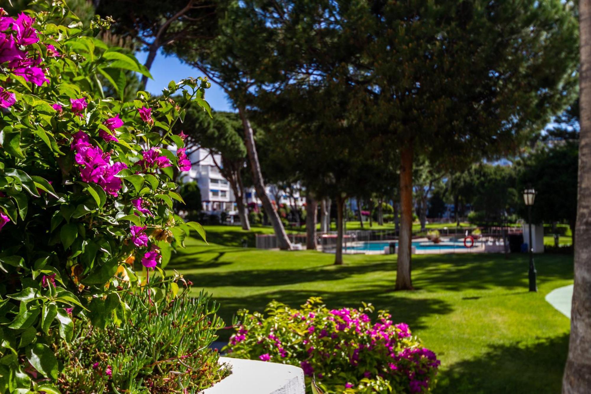 Marbella Banus Suites - Lily Playas Del Duque Banus Beach Apartment Exterior photo